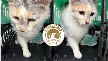 Zbiórka Wspólnie zatrzymajmy bezdomność! - miniaturka zdjęcia