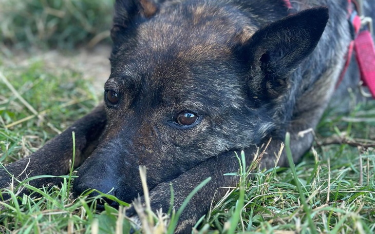 Zbiórka Bez Was nie damy rady ... - zdjęcie główne