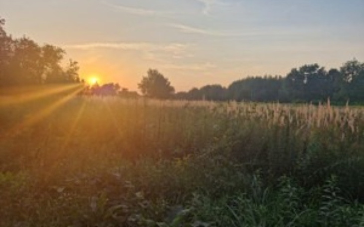 Zbiórka Wykup działki od mojego byłego - zdjęcie główne