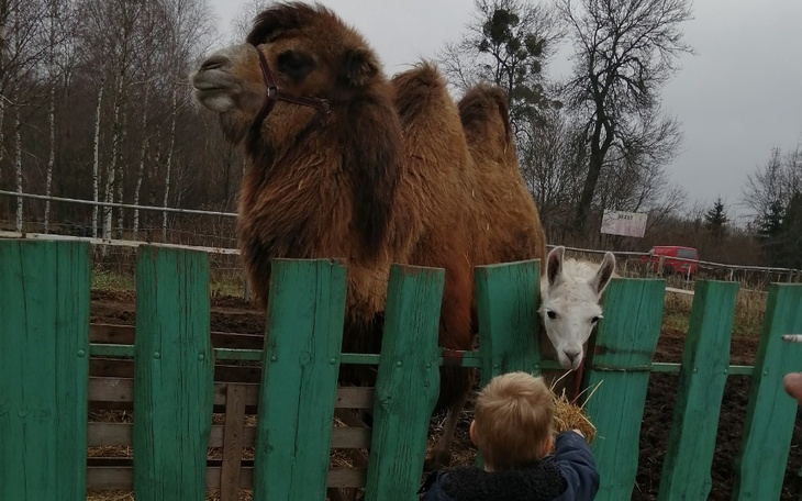 Zbiórka Prośba dla matki z dwójką dzieci - zdjęcie główne