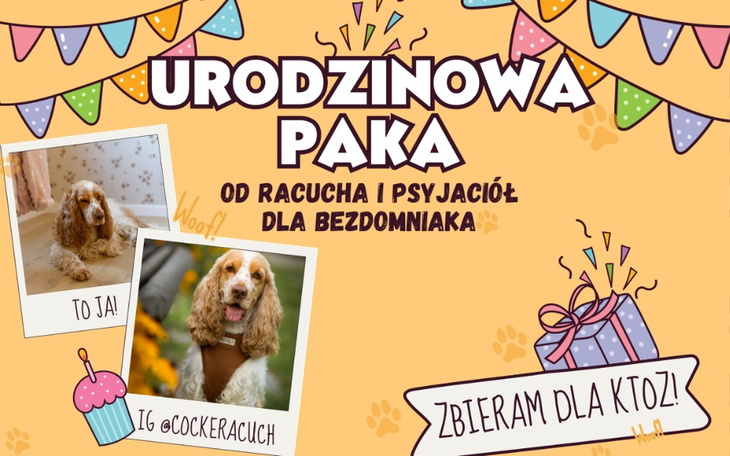 Grafika urodzinowa z psem i prezentami.