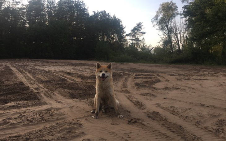 Zbiórka leczenie szczęściarza - zdjęcie główne