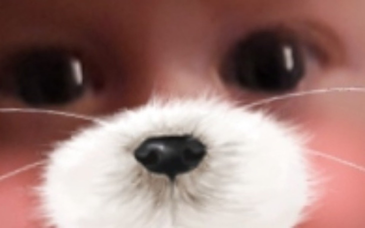 Zbiórka Na wycieczke dla corci i wnuczek - zdjęcie główne