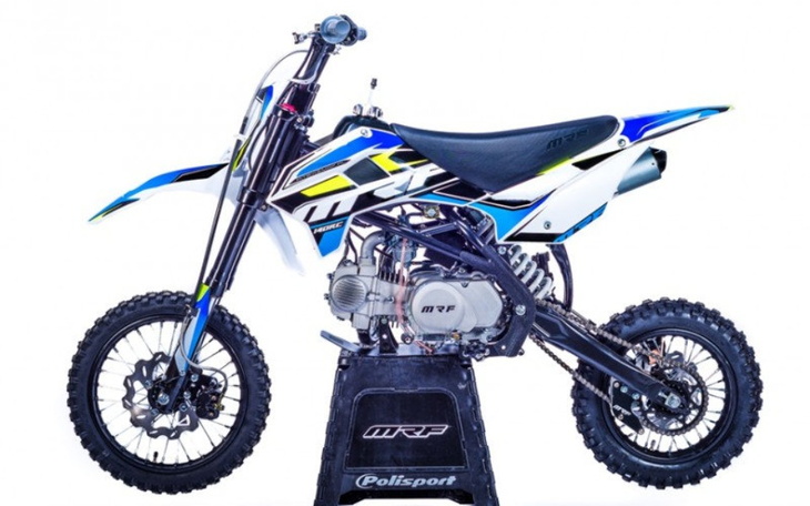 Zbiórka Na wymarzonego pitbika - zdjęcie główne