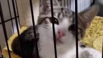 Zbiórka Bazarek EDZIA - miniaturka zdjęcia