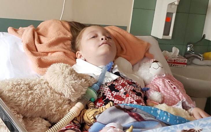 Zbiórka Na komórki macierzyste. - zdjęcie główne