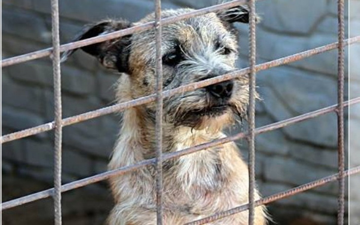 Zbiórka Mokka, Smoczek, Penny(Radysy) - zdjęcie główne