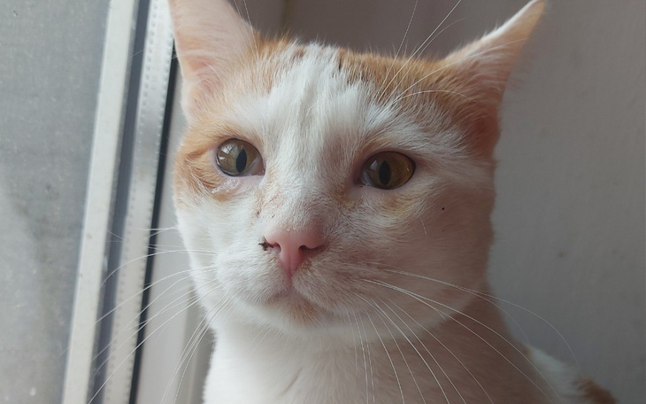 Zbiórka Loluś walczy z gronkowcem - zdjęcie główne