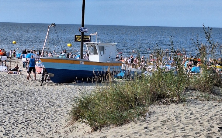 Zbiórka Adwokat dla córki - zdjęcie główne