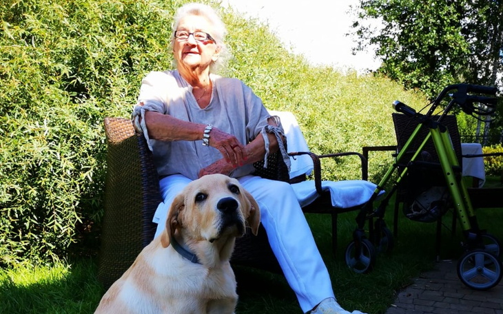 Zbiórka Na diagnozę Bemola - zdjęcie główne