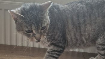 Zbiórka Każdy grosik ma znaczenie - miniaturka zdjęcia