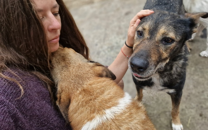 Zbiórka Życie dla zwierząt niechcianych - zdjęcie główne