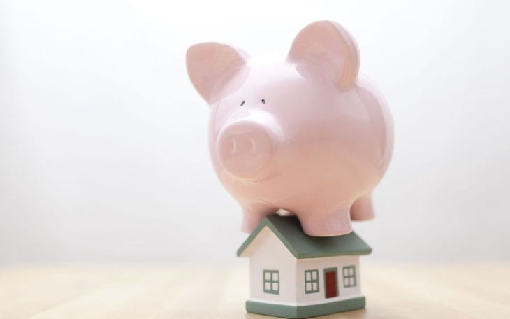 Zbiórka Chcę kupić działeczkę - zdjęcie główne