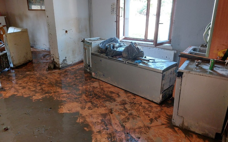 Zbiórka Pomoc dla Rodziny Rosa. - zdjęcie główne