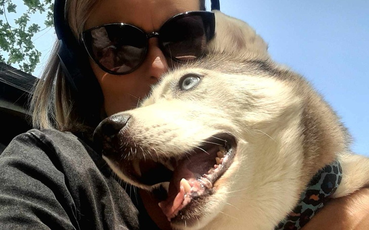 Zbiórka Ina dla SzajkiSzaregoWilka - zdjęcie główne