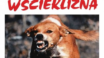 Zbiórka Akcja Wścieklizna! - miniaturka zdjęcia