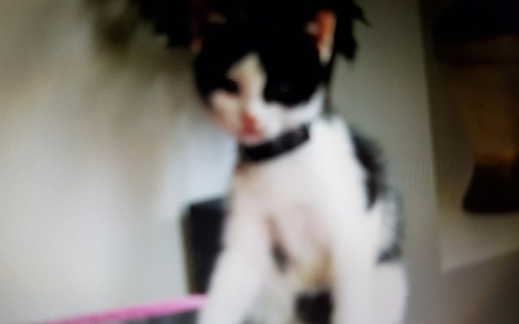 Zbiórka Spełnić marzenie córki - zdjęcie główne