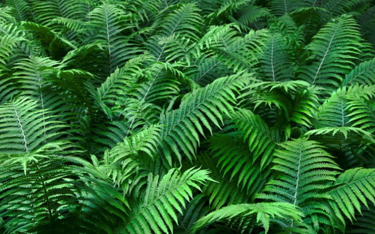 Zbiórka 1234545120 - zdjęcie główne