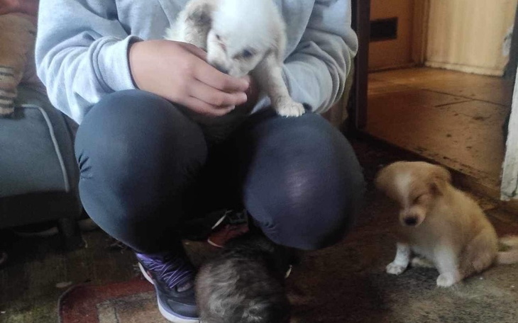 Zbiórka Na pomoc potrzebującej rodzinie - zdjęcie główne