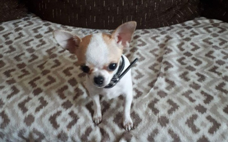 Zbiórka Zbieram na węgiel - zdjęcie główne