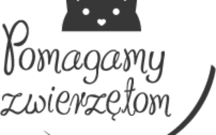 Zbiórka Na dary dla schronisk na Śląsku - zdjęcie główne