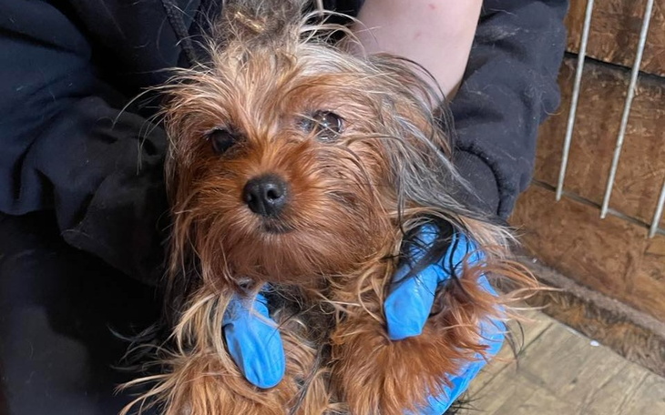 Zbiórka Ofiary zlikwidowanego obozu - zdjęcie główne