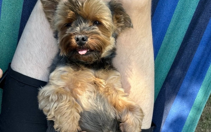 Zbiórka Na operację Gaji - zdjęcie główne