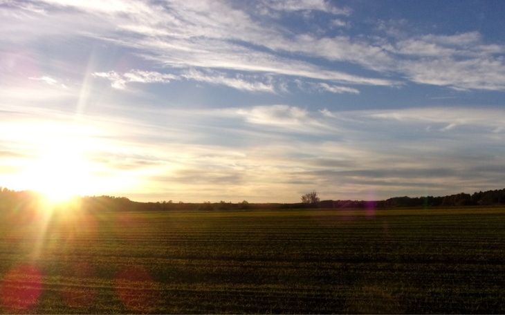 Zbiórka Droga do lepszego jutra - zdjęcie główne