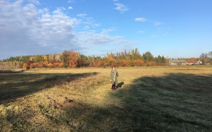 Osoba spacerująca po jesiennym polu z kolorowymi drzewami w tle.