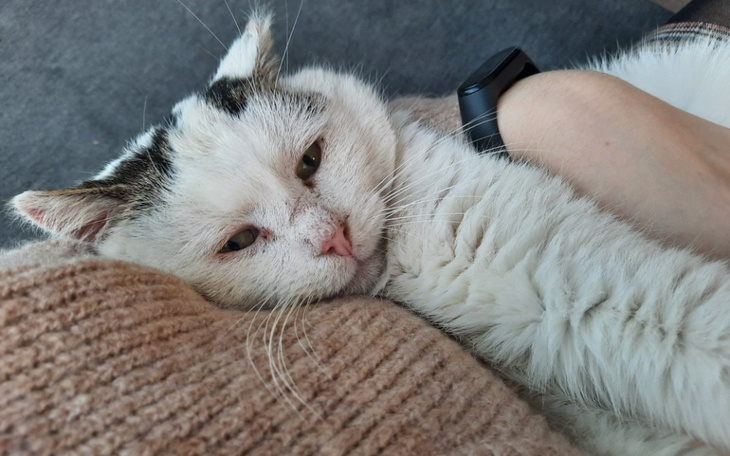 Zbiórka Na walkę o lepsze jutro - zdjęcie główne