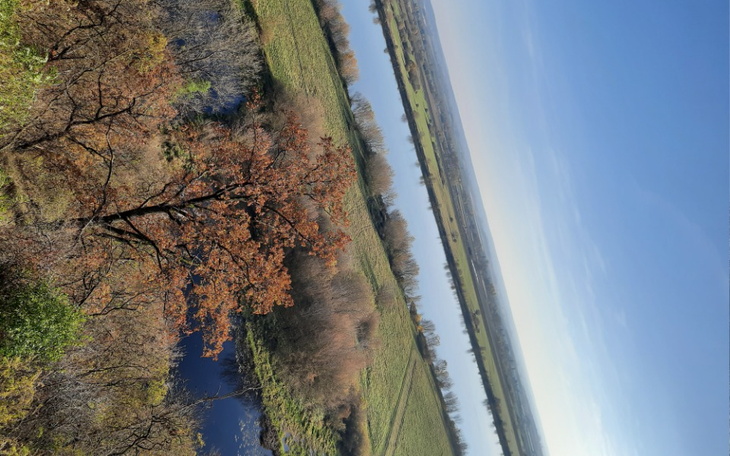 Zbiórka Na karmę dla schroniska koty,psy - zdjęcie główne