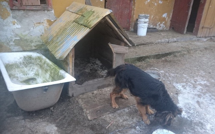 Zbiórka By nie zamarznąć - zdjęcie główne