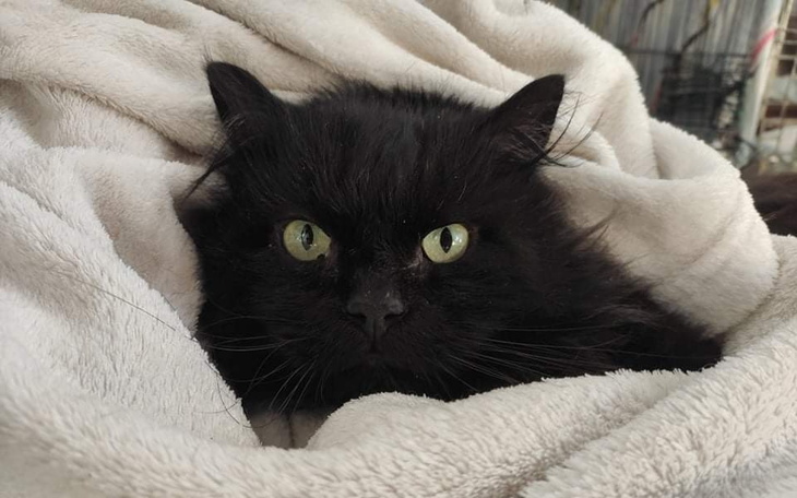 Zbiórka Kolonista - szansa na życie - zdjęcie główne