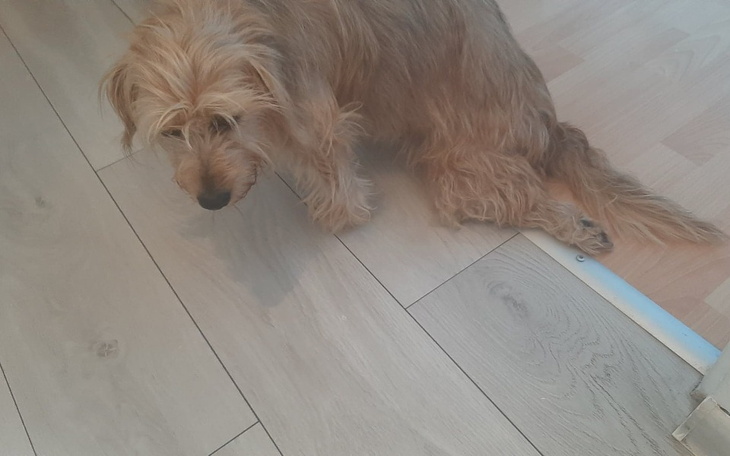 Zbiórka Rezonans kręgosłupa - zdjęcie główne