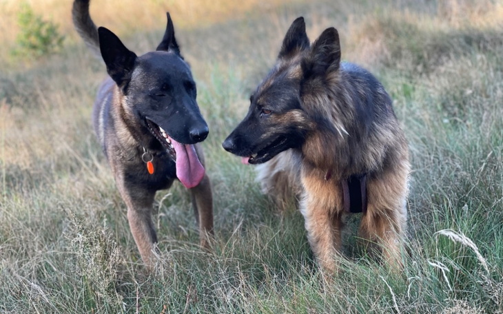 Zbiórka Zaciszaki kontra kleszcze - zdjęcie główne