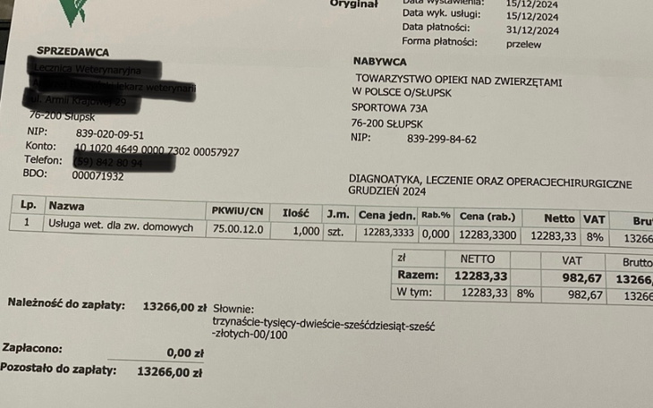 Zbiórka Grudniowe leczenie zwierząt - zdjęcie główne