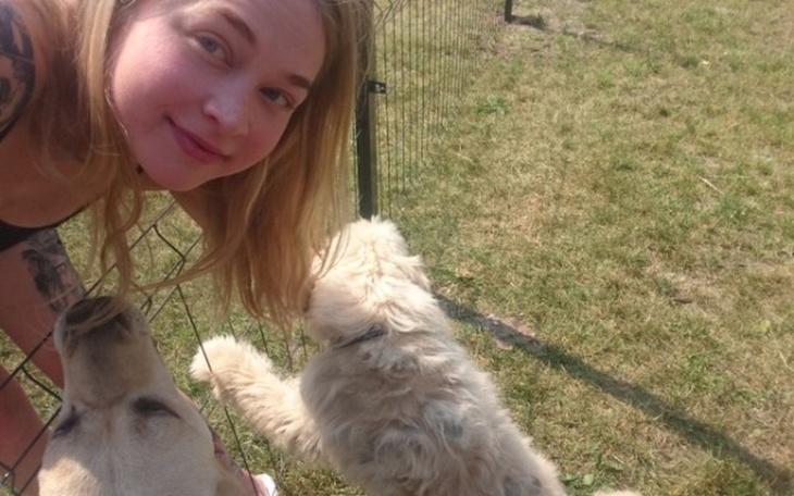 Zbiórka Na zwierzaczki - zdjęcie główne