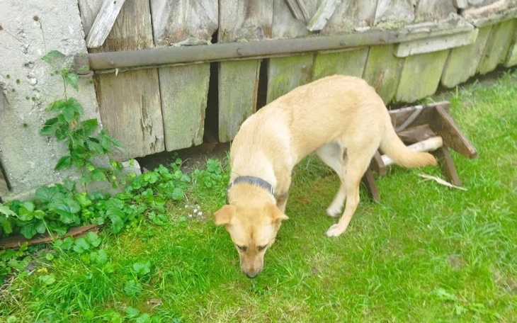 Zbiórka Mamy dla niej pomoc - zdjęcie główne