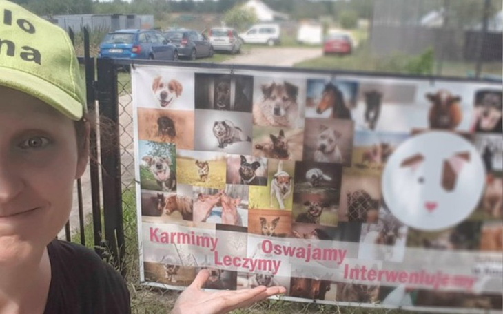 Zbiórka Namiot Eventowy dla Korabek - zdjęcie główne