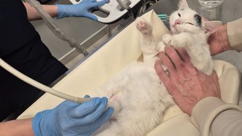 Zbiórka Prosimy o wsparcie - miniaturka zdjęcia