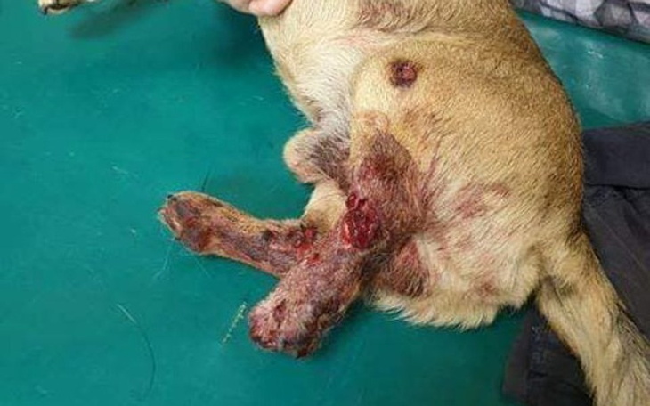 Zbiórka Pomóż mi żyć!! - zdjęcie główne