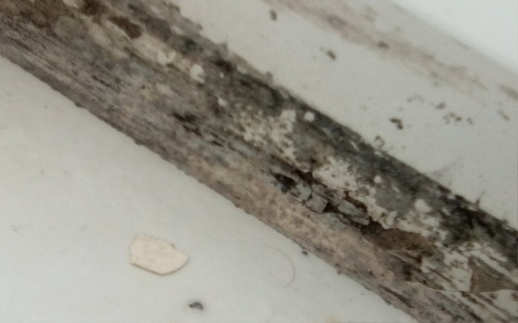 Zbiórka Mieszkanie/pomocy - zdjęcie główne