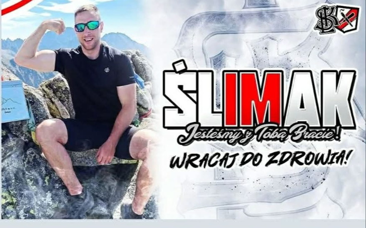 Kotowy obrazek z zabiegów medycznych i obroży