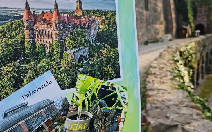 Zbiórka Kalendarz na Rok 2024 - zdjęcie główne