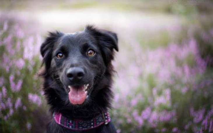 Zbiórka Największe mażenie - zdjęcie główne