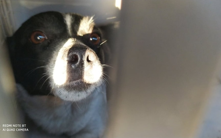 Zbiórka Od lipca SAMIUTEŃKA NA POLU - zdjęcie główne