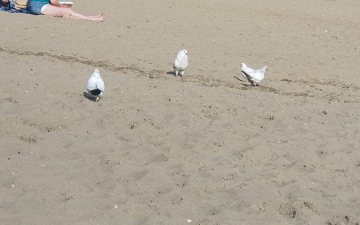 Zbiórka Zbieram na pracę w Dubaju - zdjęcie główne