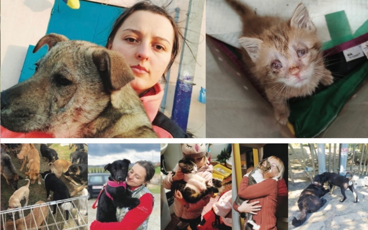 Kolaż zdjęć zwierząt z opiekunką.