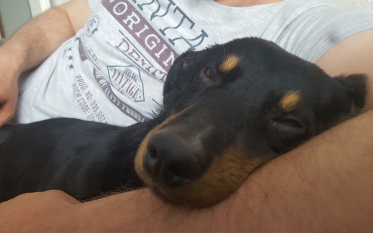 Zbiórka Przywrócenie wzroku Guciowi.. - zdjęcie główne