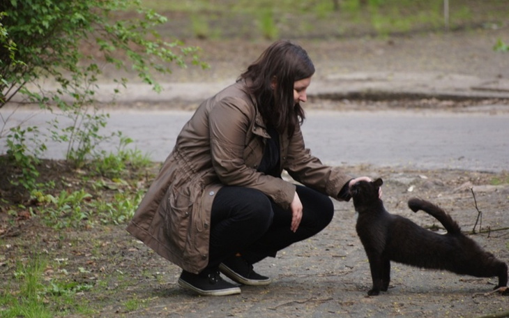 Zbiórka Pomoc w kryzysie - zdjęcie główne